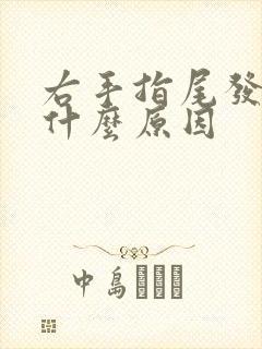 右手指尾发麻是什么原因