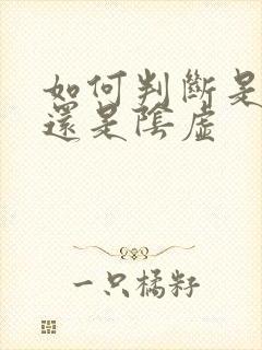 如何判断是阳虚还是阴虚