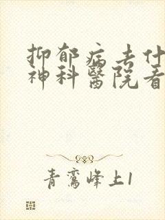 抑郁病去什么精神科医院看封面