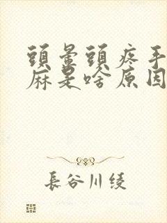 头晕头疼手脚发麻是啥原因封面