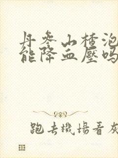 丹参山楂泡水喝能降血压吗