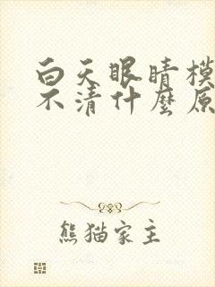 白天眼睛模糊看不清什么原因