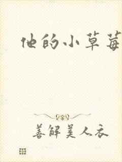 他的小草莓封面