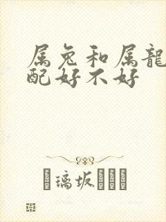 属兔和属龙的婚配好不好封面
