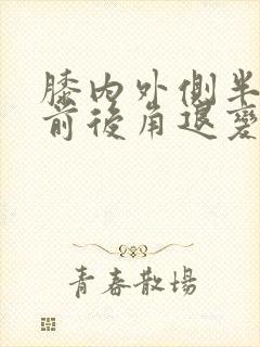 膝内外侧半月板前后角退变