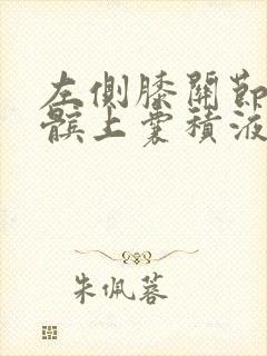 左侧膝关节腔及髌上囊积液