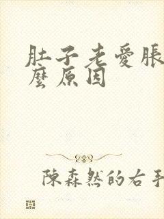 肚子老爱胀气什么原因