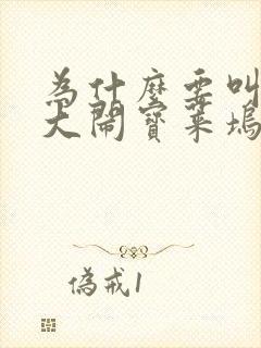 为什么要叫三傻大闹宝莱坞封面