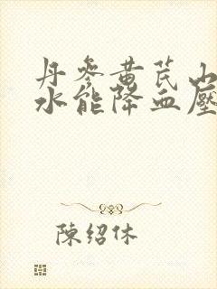 丹参黄芪山楂泡水能降血压吗