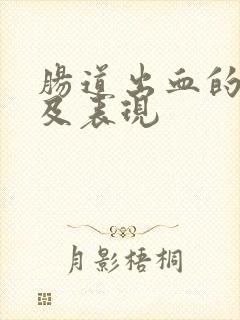 肠道出血的症状及表现封面