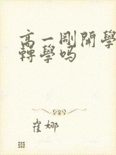 高一刚开学可以转学吗封面