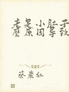 老是小肚子疼什么原因导致的