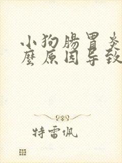 小狗肠胃炎是什么原因导致的