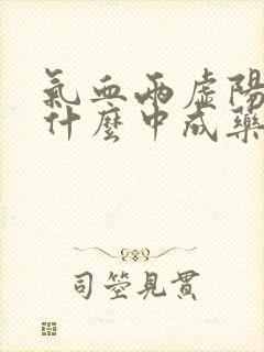 气血两虚阳虚用什么中成药封面