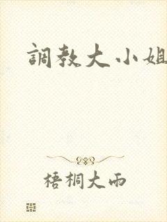 调教大小姐