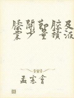 膝关节腔及髌上囊少量积液