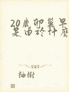 20岁卵巢早衰是由于什么原因引起的