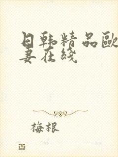 日韩精品欧美人妻在线