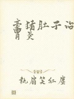 豪猪肚子治慢性胃炎