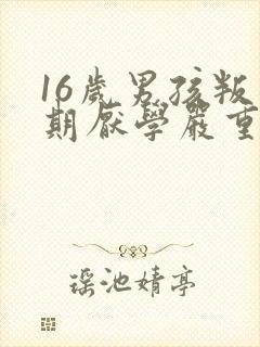 16岁男孩叛逆期厌学严重怎么办