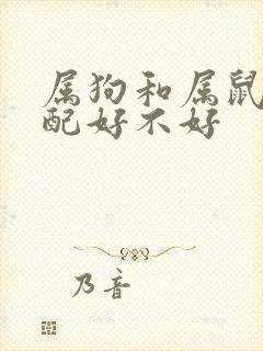 属狗和属鼠的婚配好不好