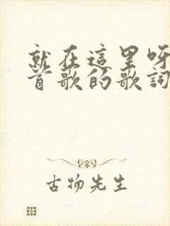 就在这里呀是哪首歌的歌词封面
