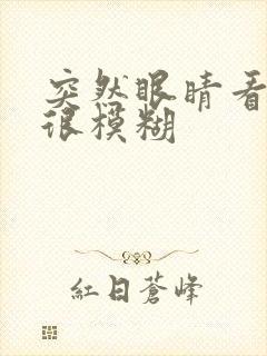 突然眼睛看东西很模糊