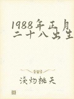 1988年正月二十八出生的女人