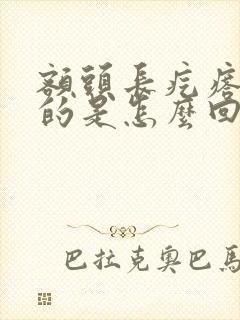 额头长疙瘩硬硬的是怎么回事
