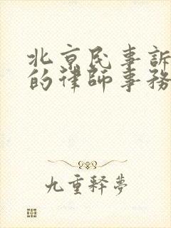 北京民事诉讼好的律师事务所咨询