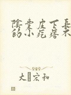 阴囊皮下长个硬的小疙瘩不痛不痒封面