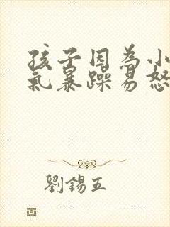 孩子因为小事脾气暴躁易怒