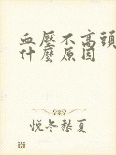 血压不高头会晕什么原因