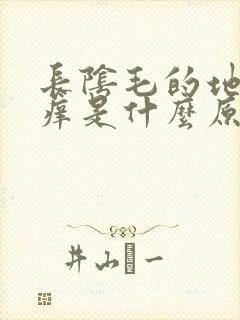 长阴毛的地方很痒是什么原因