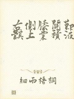 右侧膝关节腔及髌上囊积液