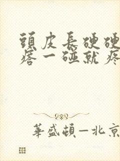 头皮长硬硬的疙瘩一碰就疼封面