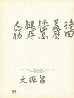 人腿膝盖后面的筋疼怎么回事