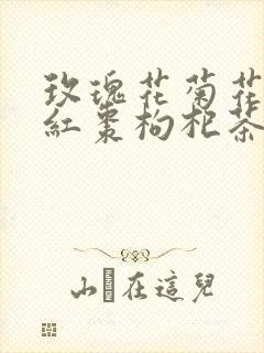玫瑰花菊花桂圆红枣枸杞茶的功效