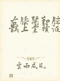 右膝关节腔内及髌上囊积液