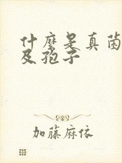 什么是真菌菌丝及孢子
