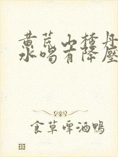 黄芪山楂丹参泡水喝有降压作用吗