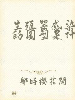 生殖器感染真菌的图型是什么样封面