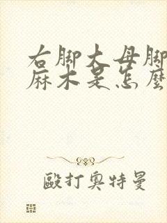 右脚大母脚趾头麻木是怎么回事
