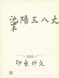 沈阳三八大案始末