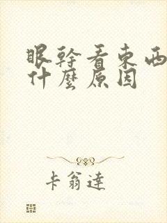 眼干看东西模糊什么原因
