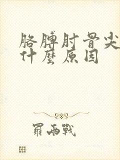 胳膊肘骨尖疼是什么原因