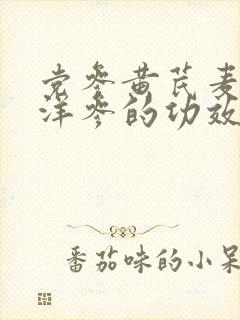 党参黄芪麦冬西洋参的功效与作用