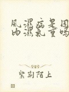 风湿病是因为体内湿气重吗封面