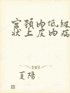 宫颈内低级别鳞状上皮内病变是什么意思