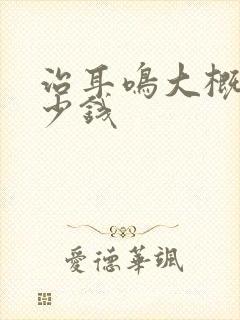 治耳鸣大概花多少钱